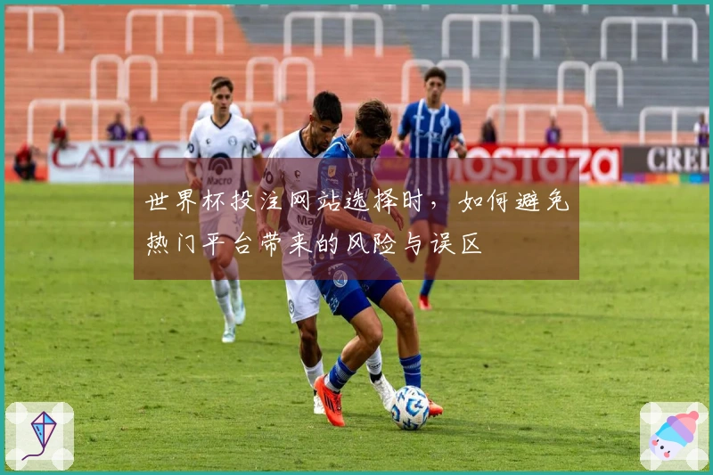 世界杯投注网站选择时，如何避免热门平台带来的风险与误区