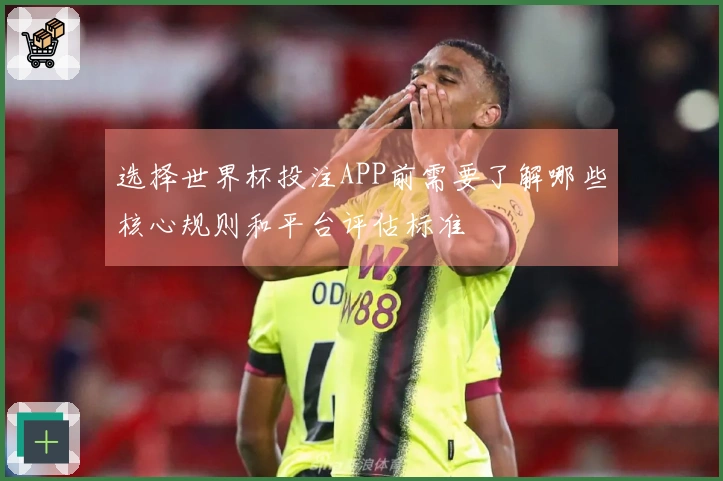 选择世界杯投注APP前需要了解哪些核心规则和平台评估标准