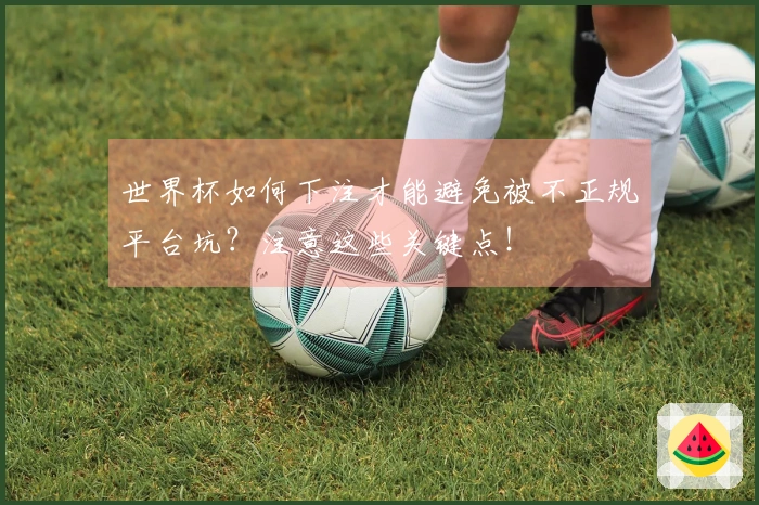 世界杯如何下注才能避免被不正规平台坑？注意这些关键点！
