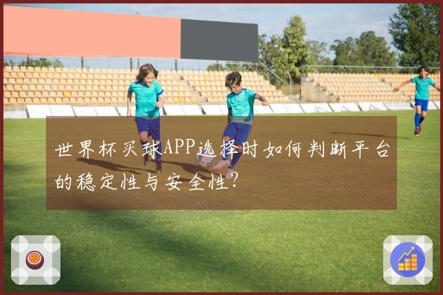世界杯买球APP选择时如何判断平台的稳定性与安全性？