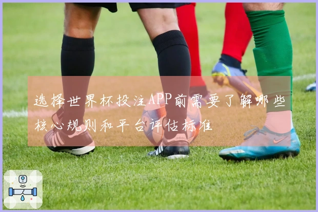 选择世界杯投注APP前需要了解哪些核心规则和平台评估标准